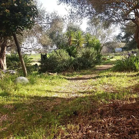 Rustico Antico In Campagna. Venkovský dům