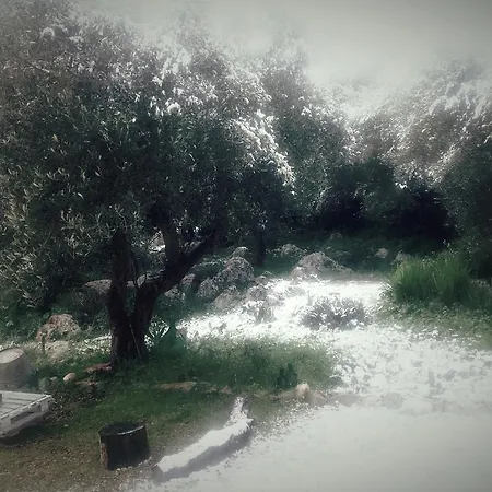 Venkovský dům Rustico Antico In Campagna.