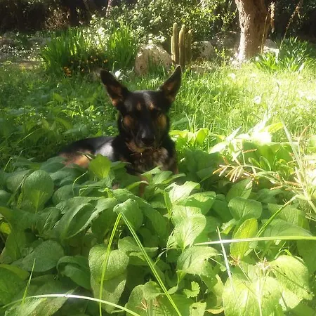 Rustico Antico In Campagna. Venkovský dům *