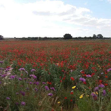 Venkovský dům Rustico Antico In Campagna.
